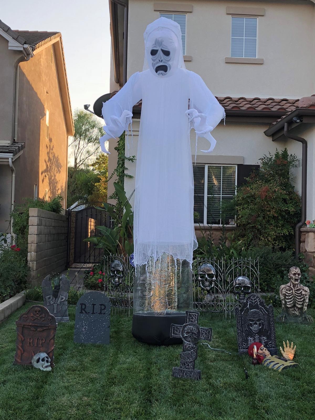 What My Yard Looks Like...
